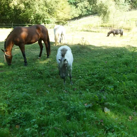 Le Paradis Bed & Breakfast 3*